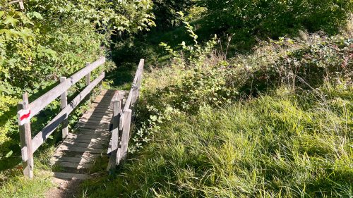 Herbstwandertag-Khueny-10