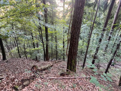 Herbstwandertag-Khueny-3