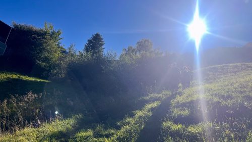 Herbstwandertag-Khueny-9